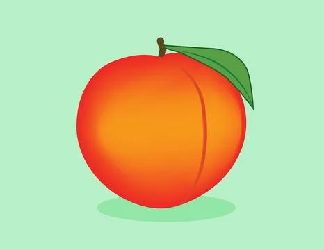 Vector illustration of fresh peach. Stock Illustration