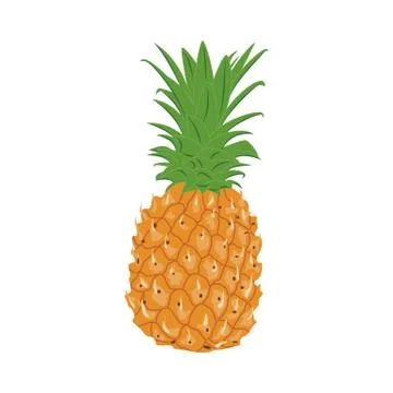 Vector illustration of fresh pineapple in flat style Stock Illustration
