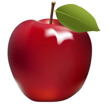Vector illustration of fresh red apple with single leaf Stock Illustration