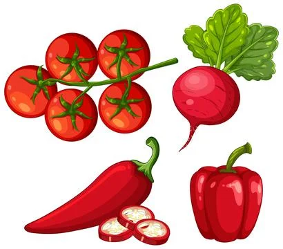 Vector Illustration of Fresh Red Vegetables Including Tomatoes and Peppers Stockillustratie