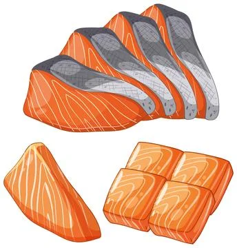Vector Illustration of Fresh Salmon Cuts Stock Illustration