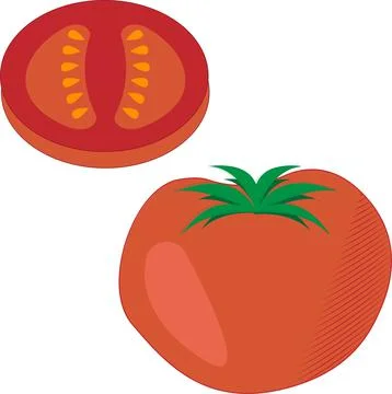 Vector illustration of fresh tomato. set of two red vegetables Stock Illustration