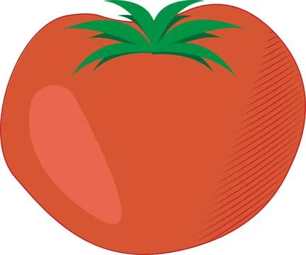 Vector illustration of fresh tomato. simpe isolated vegetable Stock Illustration