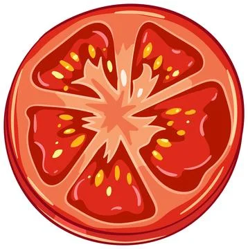 Vector Illustration of Fresh Tomato Slice with Seeds Stock Illustration