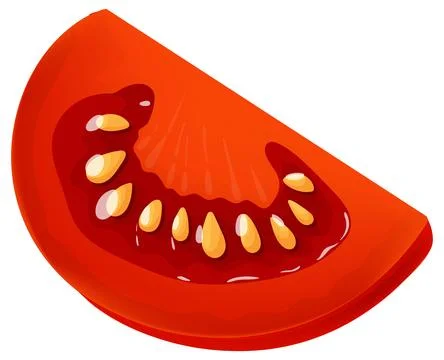 Vector Illustration of Fresh Tomato Slice with Seeds 스톡 일러스트