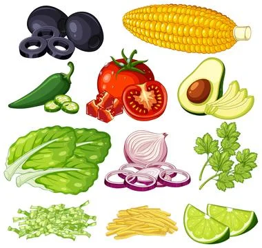 Vector Illustration of Fresh Vegetables and Healthy Cooking Ingredients Set Stock Illustration