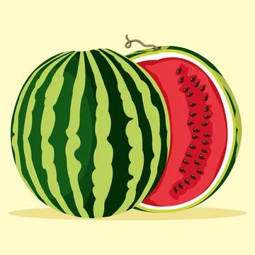 Vector illustration of the fresh watermelon cut in half Stock Illustration