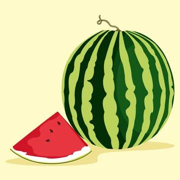 Vector illustration of the fresh watermelon Illustrazione stock