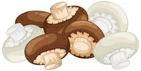 Vector Illustration of Fresh White and Brown Button Mushrooms Ilustración de archivo