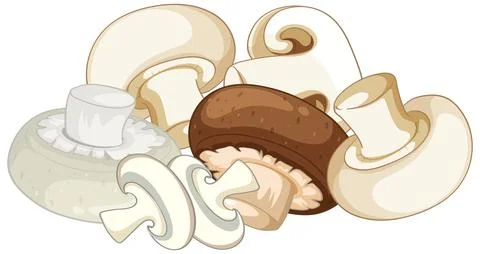 Vector Illustration of Fresh White and Brown Button Mushrooms Stock Illustration