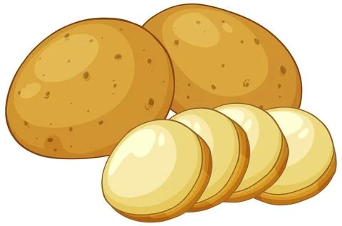 Vector Illustration of Fresh Whole and Sliced Raw Brown Potatoes Stock Illustration