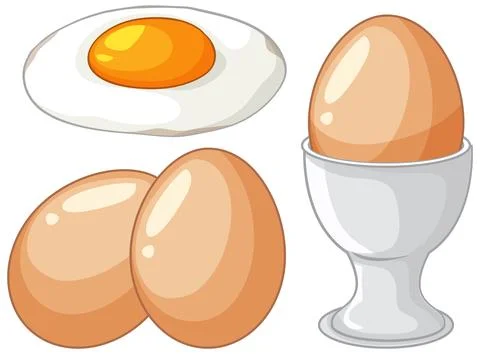 Vector Illustration of Fried Egg and Brown Eggs in Different Forms Stock Illustration