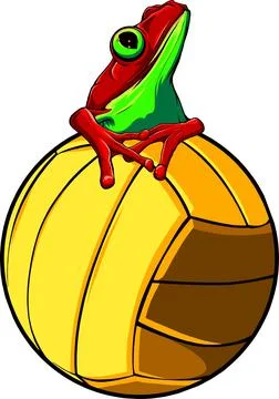 Vector illustration of frog sitting on ball isolated on white background Stock Illustration