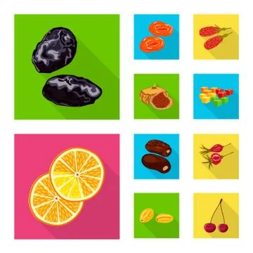 Vector illustration of fruit and dried symbol. Set of fruit and food stock Stock Illustration