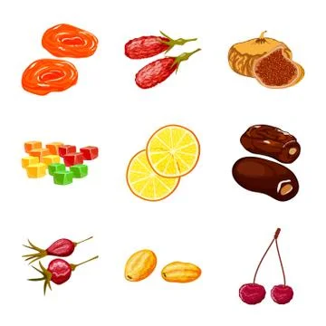 Vector illustration of fruit and dried symbol. Collection of fruit and food Stock Illustration