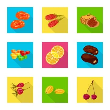 Vector illustration of fruit and dried symbol. Set of fruit and food stock Stock Illustration