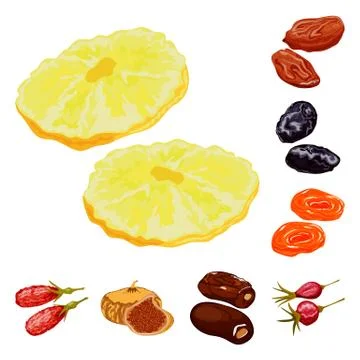 Vector illustration of fruit and dried sign. Set of fruit and food stock vector Stock Illustration