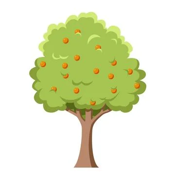 Vector illustration of a fruit tree in cartoon style isolated on white back.. Stock Illustration