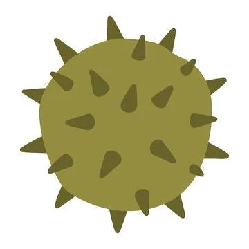 Vector illustration of a fully closed green spiky horse chestnut burr. Great for Stock Illustration