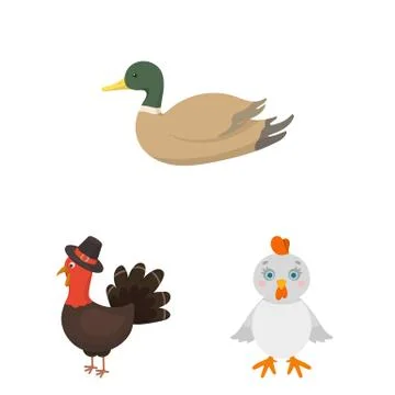 Vector illustration of funny and poultry logo. Collection of funny and farming Illustrazione stock