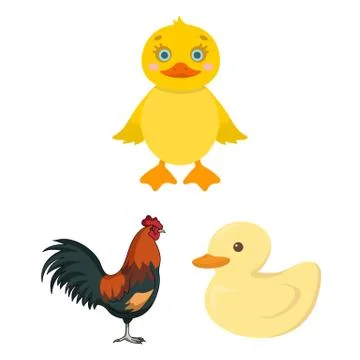 Vector illustration of funny and poultry logo. Set of funny and farming vector Illustrazione stock