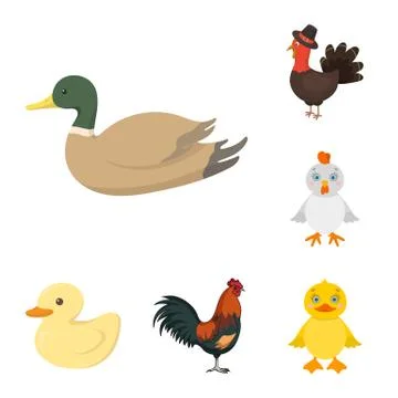 Vector illustration of funny and poultry symbol. Collection of funny and farming Illustrazione stock