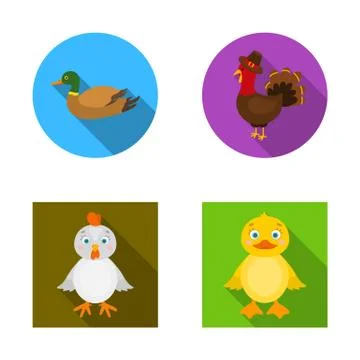 Vector illustration of funny and poultry symbol. Collection of funny and farming Illustrazione stock