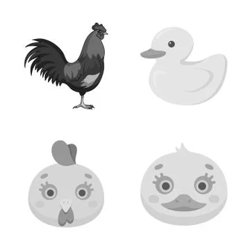 Vector illustration of funny and poultry sign. Collection of funny and farming Illustrazione stock