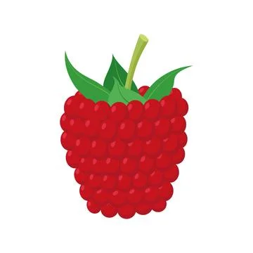 Vector illustration of a funny raspberry in cartoon style. Illustrazione stock