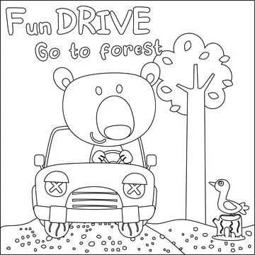 Vector illustration of funy bear driving the white car. Stock Illustration
