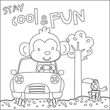 Vector illustration of funy monkey driving the white car. Stock Illustration