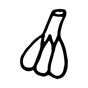Vector illustration of garlic in doodle style Stock Illustration