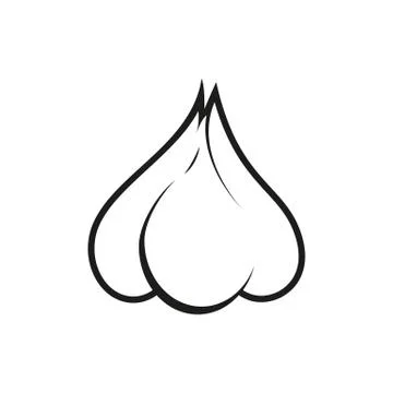 Vector illustration of garlic isolated on white background Illustrazione stock