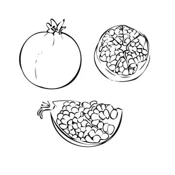 Vector illustration of a garnet on a white isolated background. Shop sketch Stock Illustration