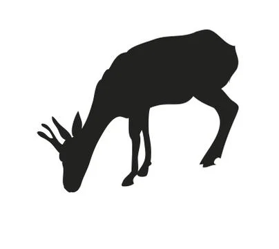 Vector illustration gazelle drawing silhouette, Illustrazione stock