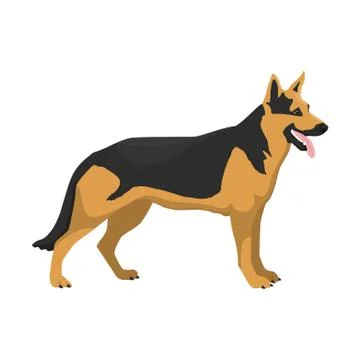 Vector illustration of German shepherd Stock Illustration