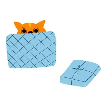 Vector illustration of ginger cat inside opened blue gift box in cartoon flat Stock Illustration