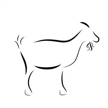 Vector illustration of goat painted with simple lines. Symbol of cattle and f Stock Illustration