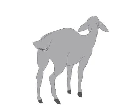 Vector illustration of a goat that stands, drawing color Stock Illustration