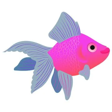 Vector illustration of a goldfish. Stock Illustration