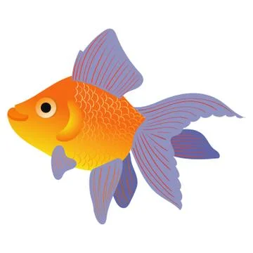 Vector illustration of a goldfish. Stock Illustration