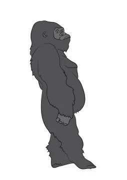 Vector illustration of a gorilla, drawing color, vector Stock Illustration