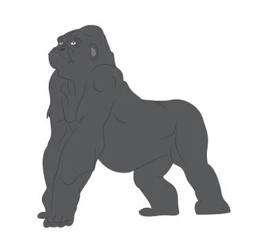 Vector illustration of a gorilla, drawing color, vector Stock Illustration