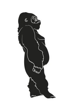 Vector illustration of a gorilla, drawing silhouette, vector Stock Illustration