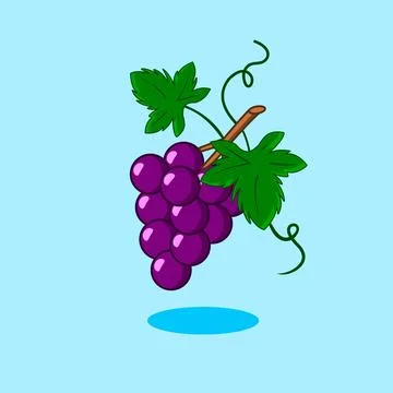 Vector Illustration of Grapes Fruit Purple, Cartoon Design Stock Illustration