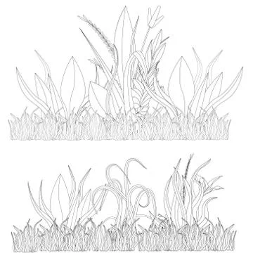 Vector illustration of grass, natural grass elements isolated white backgroun Stockillustratie