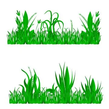 Vector illustration of grass, natural grass elements isolated white backgroun Illustrazione stock