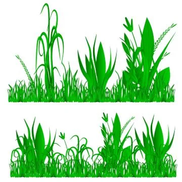 Vector illustration of grass, natural grass elements isolated white backgroun Stockillustratie