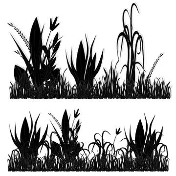Vector illustration of grass, natural grass elements isolated white backgroun イラスト素材