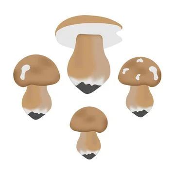 Vector illustration of gray mushrooms. Stock Illustration